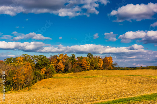 Farm fields and autumn color in rural York County, Pennsylvania.