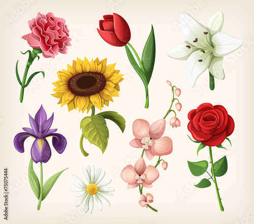 Set of romantic summer flowers
