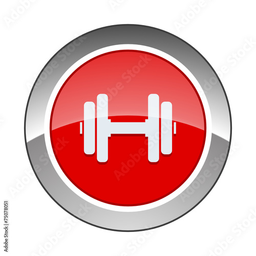 Chrome Icon