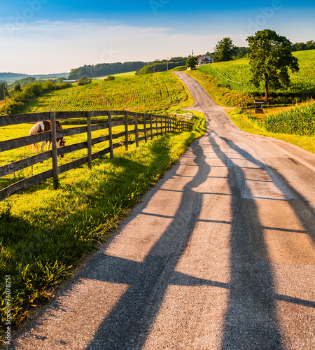 Fotografi Fence and horses along a country backroad in rural York County,