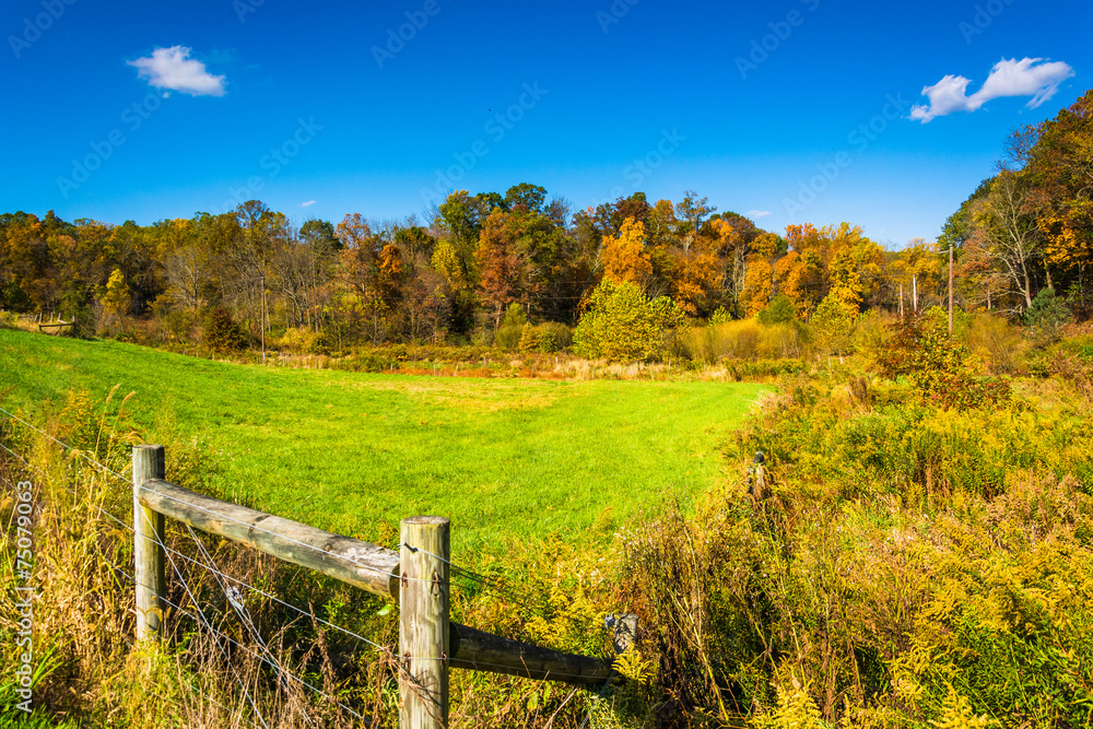 Fence in a field, in rural York County, Pennsylvania.