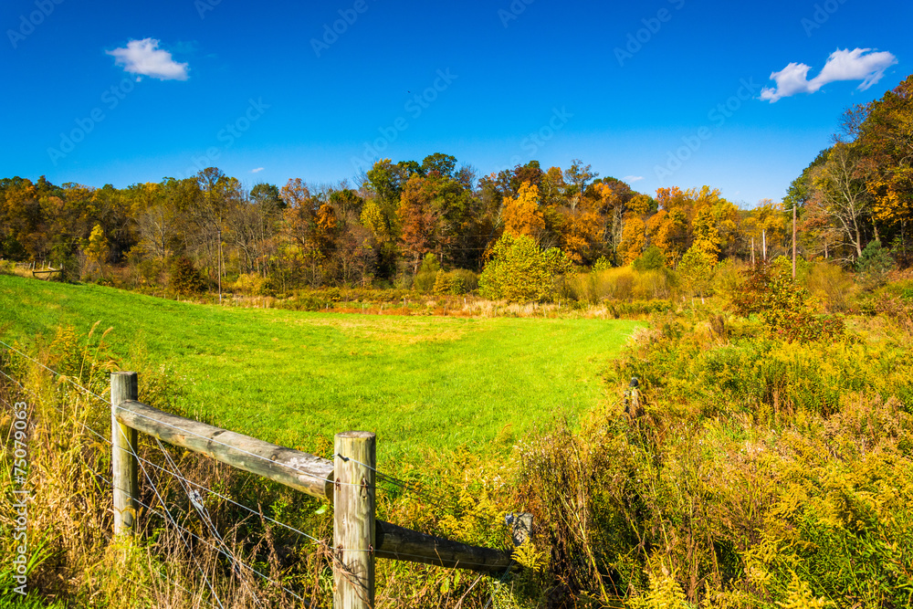 Fototapeta premium Fence in a field, in rural York County, Pennsylvania.