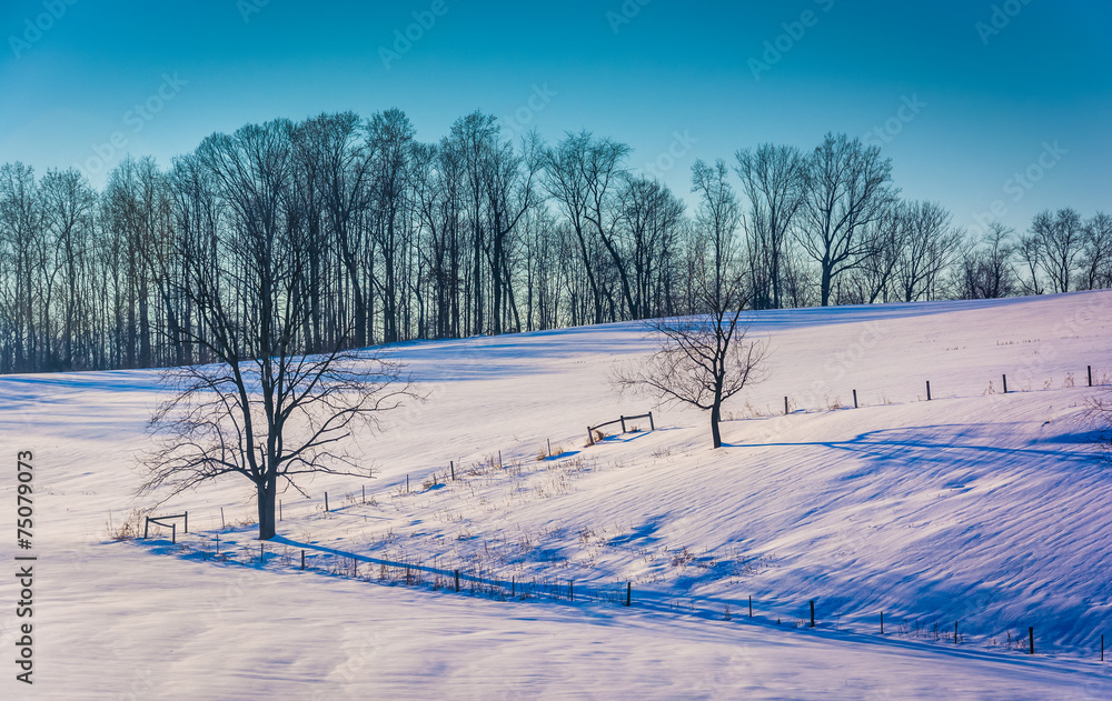 Fences and trees on a snow covered hill in rural York County, Pe Fences and trees on a snow covered hill in rural York County, Pe