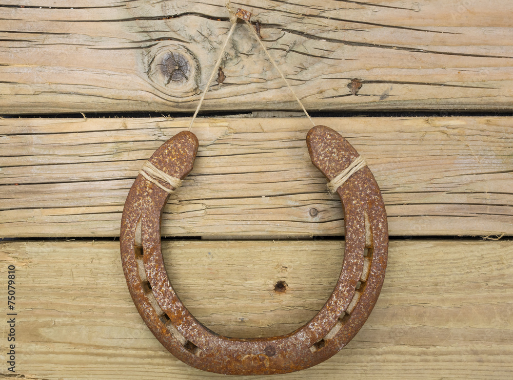 iron horseshoe iron horseshoe