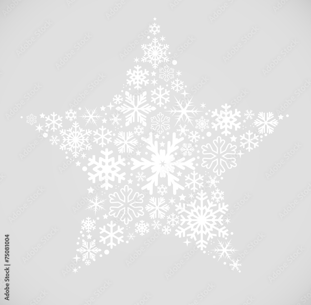 Star made of different shape snow flakes vector