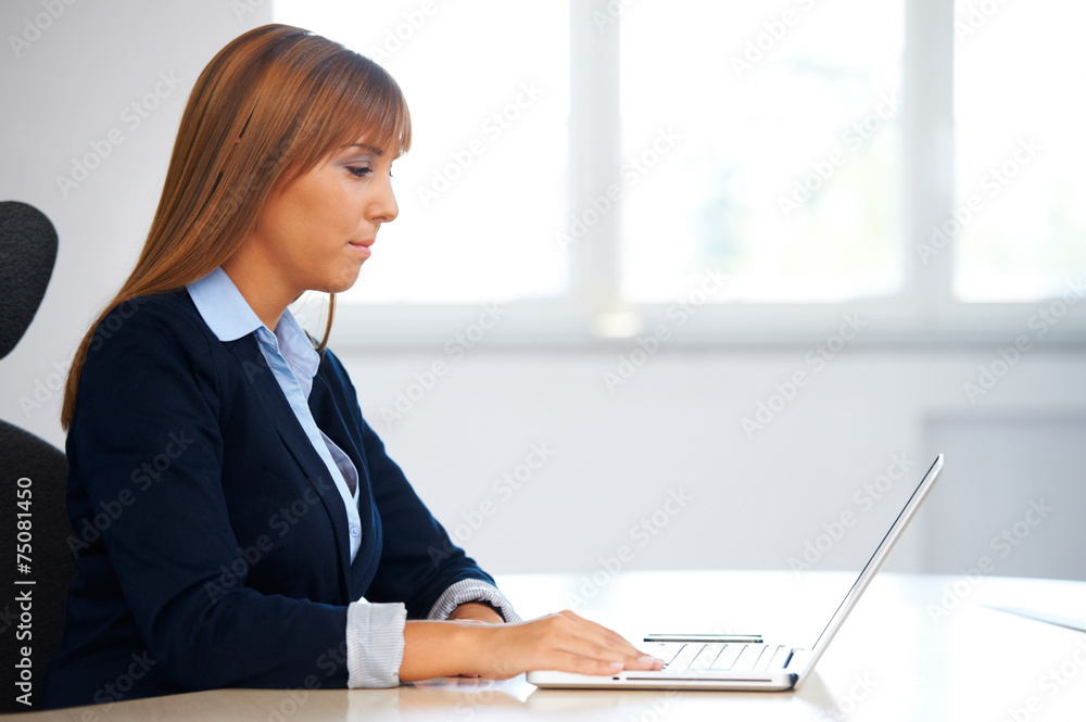 Young business woman with laptop in the office Young business woman with laptop in the office