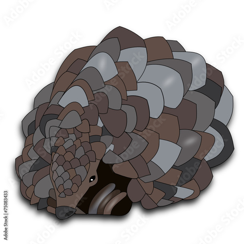 Pangolin