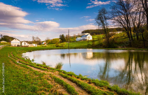 Pond in rural York County, Pennsylvania.