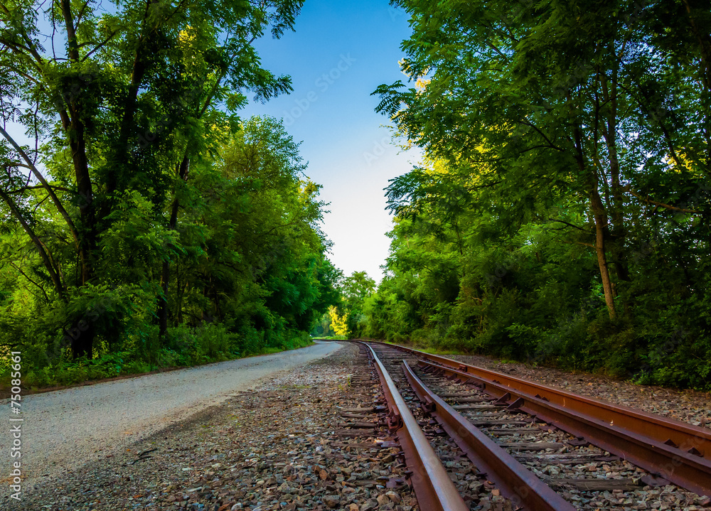 Fototapeta premium Railroad tracks along the Northern Central Railroad trail in Yor