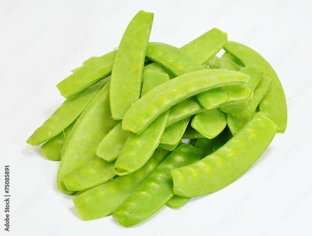 garden pea garden pea