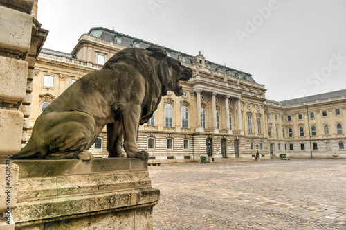 Photography Buda Castle - Budapest, Hungary