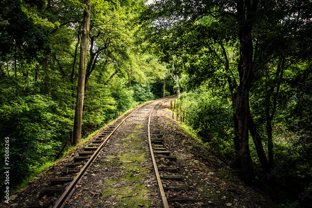 Railroad tracks through a forest in York County, Pennsylvania. Railroad tracks through a forest in York County, Pennsylvania.