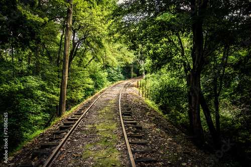 Railroad tracks through a forest in York County, Pennsylvania.