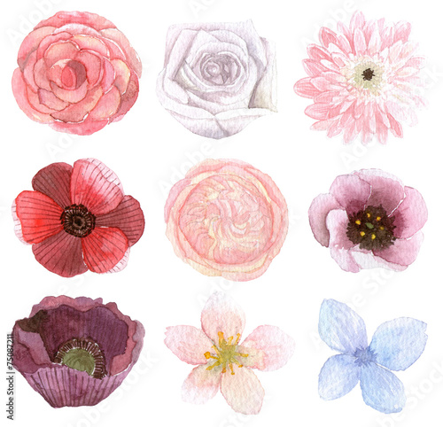 Set of many flowers