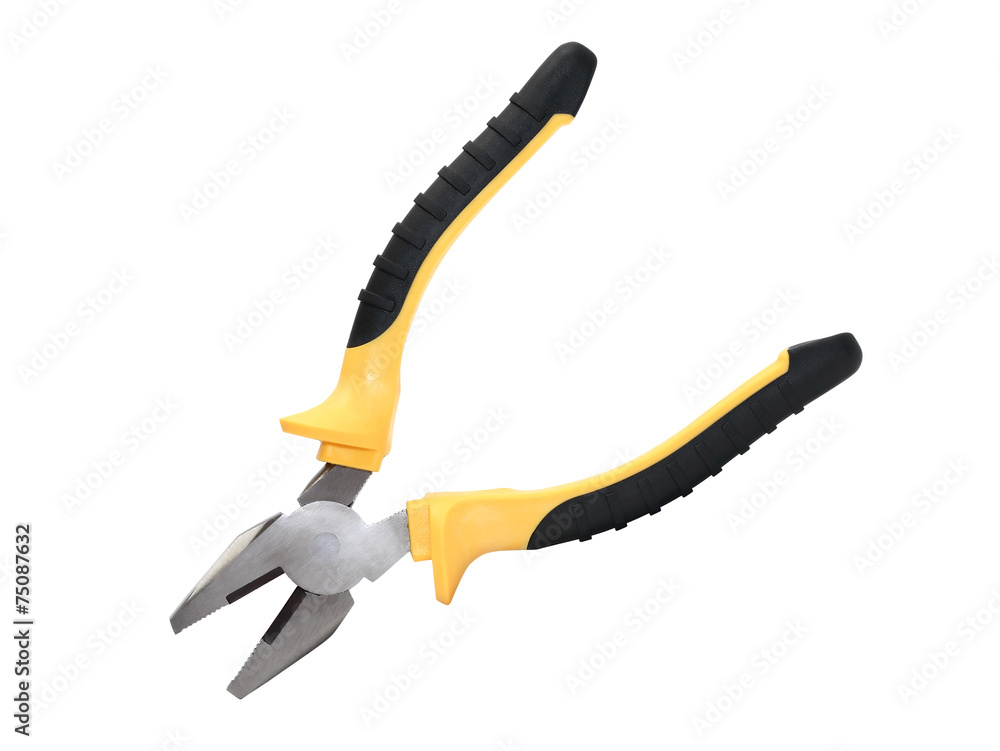 Obraz premium Combination Pliers