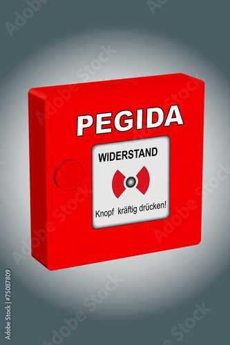 Pegida Widerstand