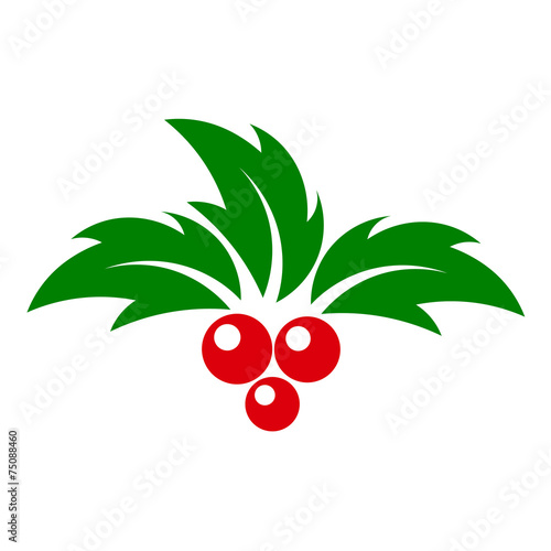 Holly berry