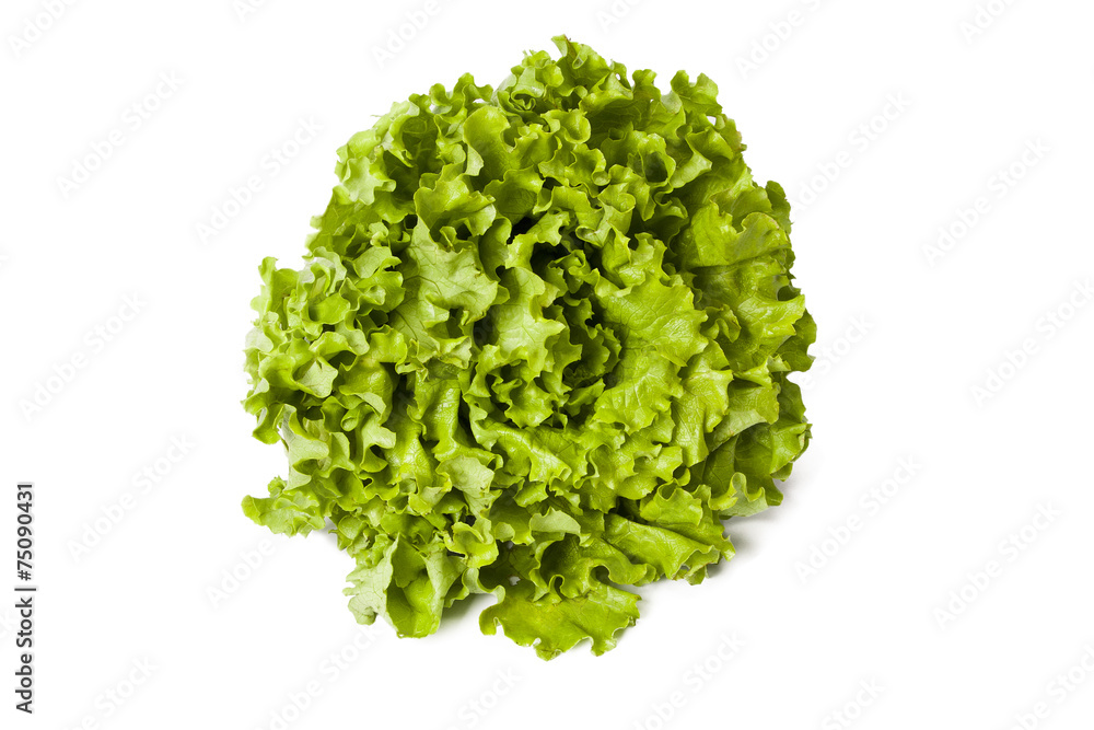 lettuce lettuce