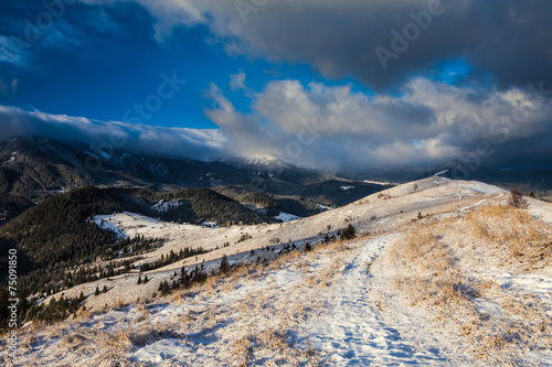 Beautiful winter landscape in the mountains