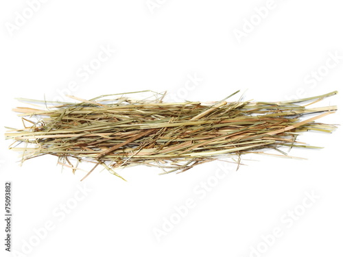 Fototapeta pile hay for guinea pigs isolated on white background