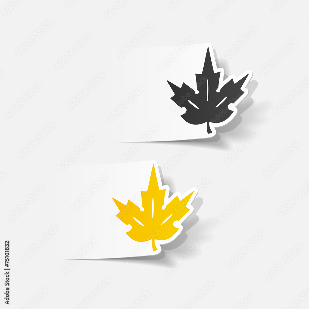 realistic design element: leaf realistic design element: leaf