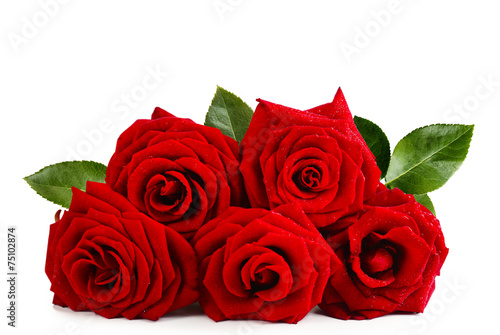 Bouquet of beautiful red roses isolated on white