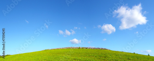 Prato verde con cielo azzurro e nuvole - pianeta verde