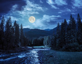Mountain river in pine forest at night