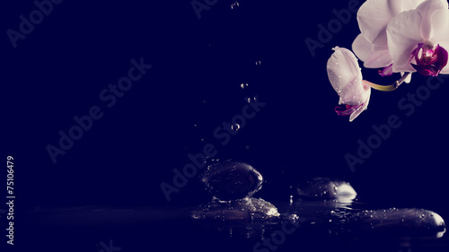 Fototapeta Naklejka Na Ścianę i Meble -  Spa background with pink orchids and fresh water splashing on bl
