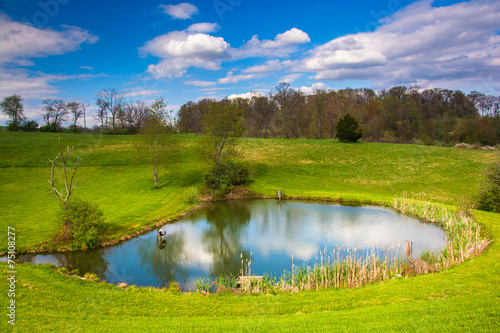 Fototapeta Naklejka Na Ścianę i Meble -  View of a pond in rural York County, Pennsylvania.