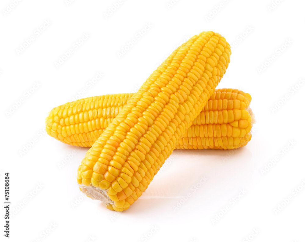 corn isolated on white background corn isolated on white background