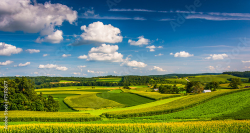 Fototapeta Naklejka Na Ścianę i Meble -  View of farm fields and rolling hills in Southern York County, P