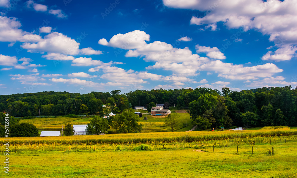 View of farm fields in rural York County, Pennsylvania.