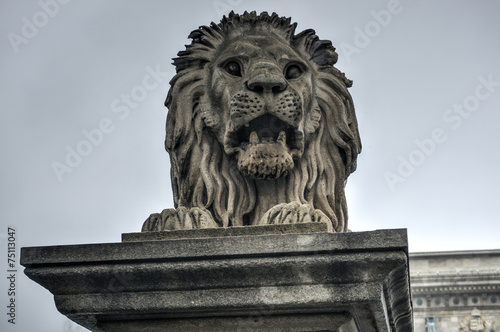 Szechenyi Chain Bridge - Budapest, Hungary