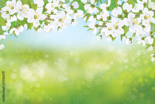 Vector spring blossoming tree on bokeh background.