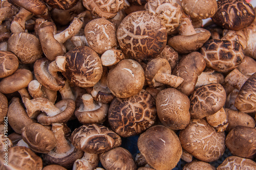 Raw Shiitake mushrooms food background.