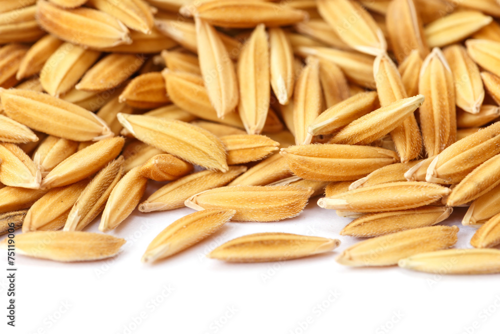 rice grains isolated on white background rice grains isolated on white background