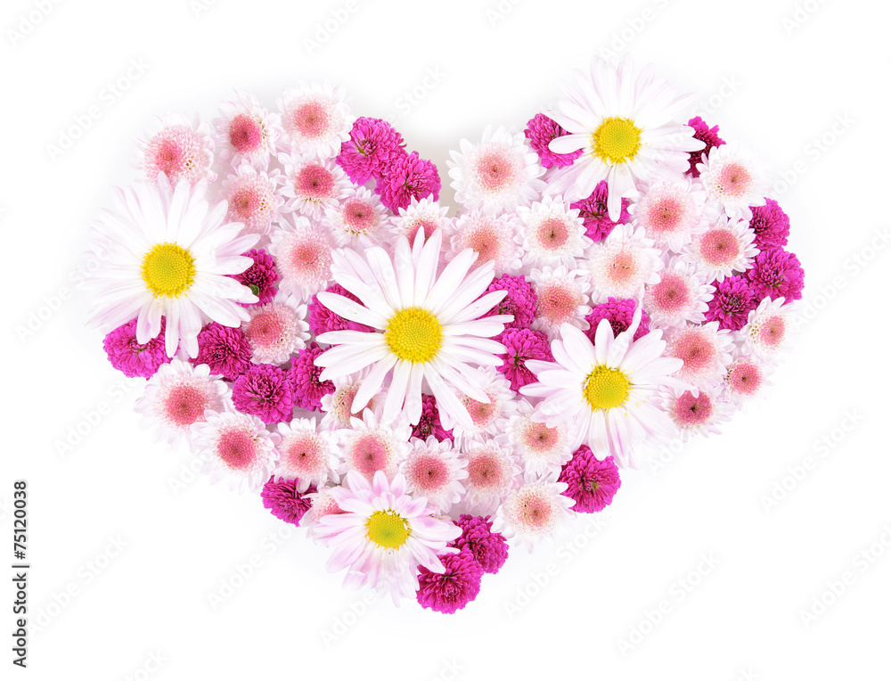 Beautiful flowers in heart shape isolated on white