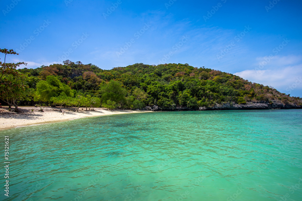 Fototapeta premium Tropical white sand beach with trees.