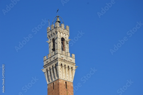 Torre del Mangia photo