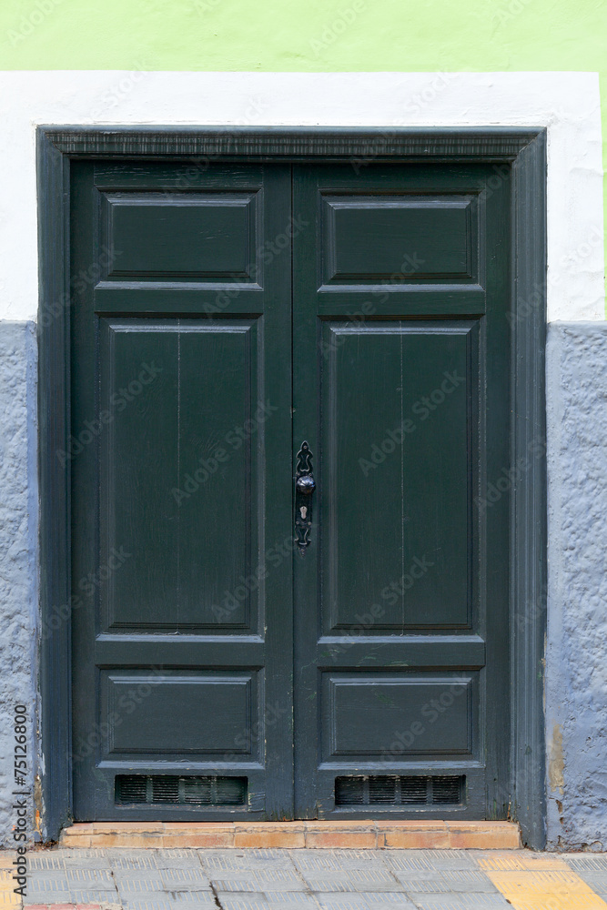 Historic wooden door