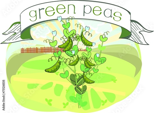 Green peas with title