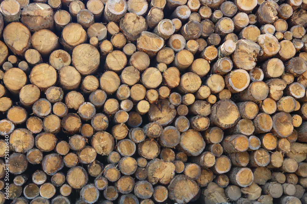 Stack of logs