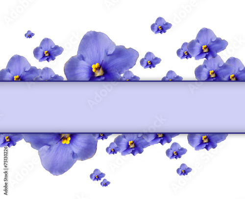 Beautiful saintpaulia flowers and card with space for your text