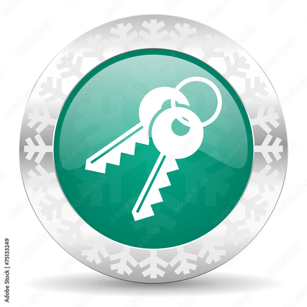 keys green icon, christmas button