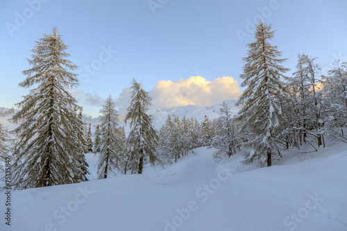 Winter landscape © Kavita