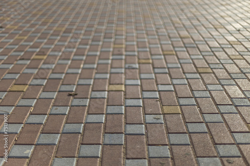 Obraz na płótnie Adoquines w salonie