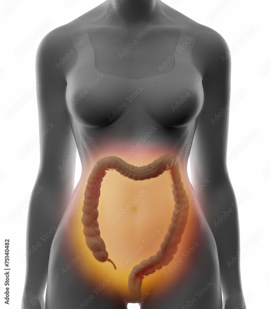 Real Intestines