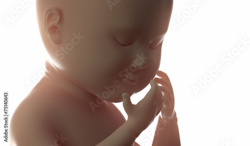 3d 4d ultrasound scan fetus pregnancy concept photo
