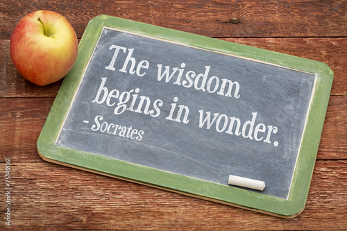 Wisdom begins in wonder photo